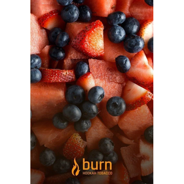 Табак Burn Berried Treasure 100 грамм в Санкт-Петербурге