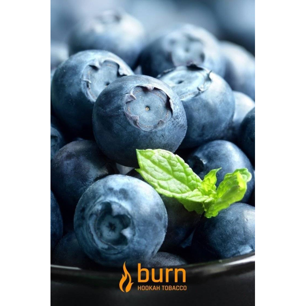 Табак Burn Blueberry Mint 100 грамм в Санкт-Петербурге