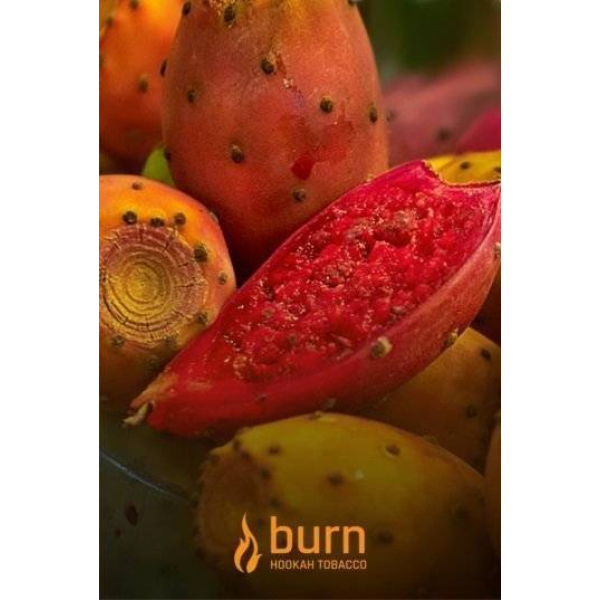 Табак Burn Cactus 100 грамм в Санкт-Петербурге