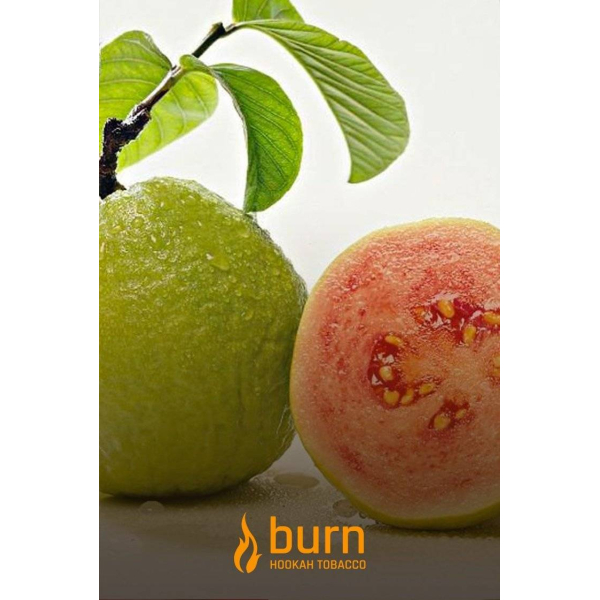 Табак Burn Guava 100 грамм в Санкт-Петербурге