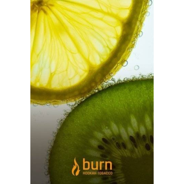 Табак Burn Kiwi Lemon 100 грамм в Санкт-Петербурге