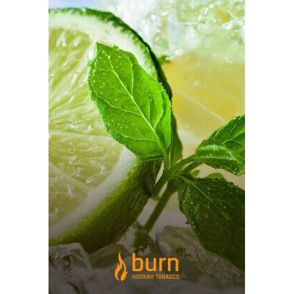 Табак Burn Lemon Mint 100 грамм в Санкт-Петербурге