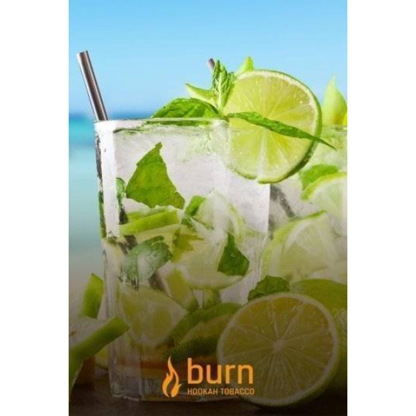 Табак Burn Mojito 100 грамм в Санкт-Петербурге