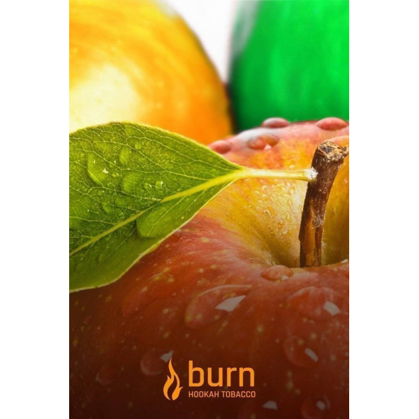 Табак Burn Three Apples 100 грамм в Санкт-Петербурге