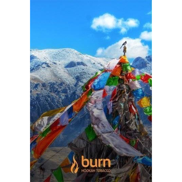 Табак Burn Tibet 100 грамм в Санкт-Петербурге