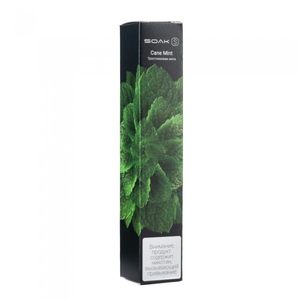 SOAK S Cane Mint (Тростниковая мята), 2500 тяг в Санкт-Петербурге