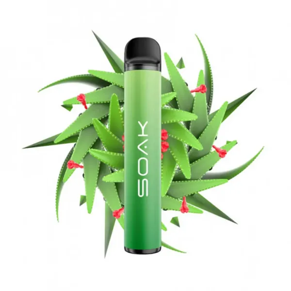 SOAK X Aloe Vera (Алое Вера), 1500 тяг в Санкт-Петербурге