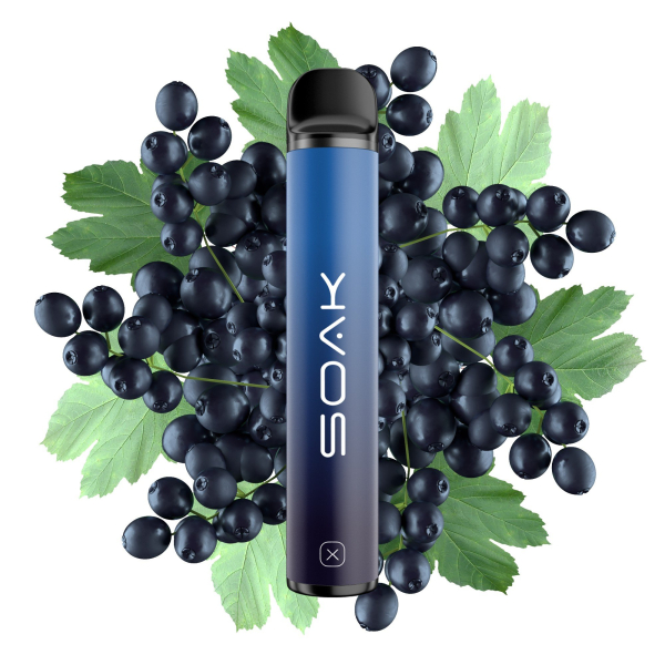 SOAK X Forest Blackcurrant (Лесная черная смородина), 1500 тяг в Санкт-Петербурге