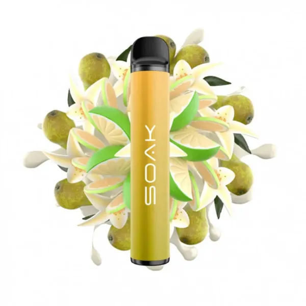 SOAK X Vanilla Pear (Ванильная груша с лаймом), 1500 тяг в Санкт-Петербурге