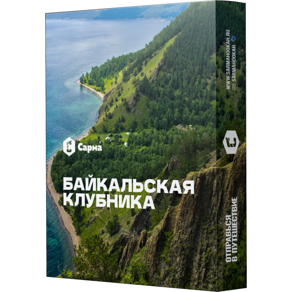 Табак Сарма Байкальская Клубника 25 гр в Санкт-Петербурге