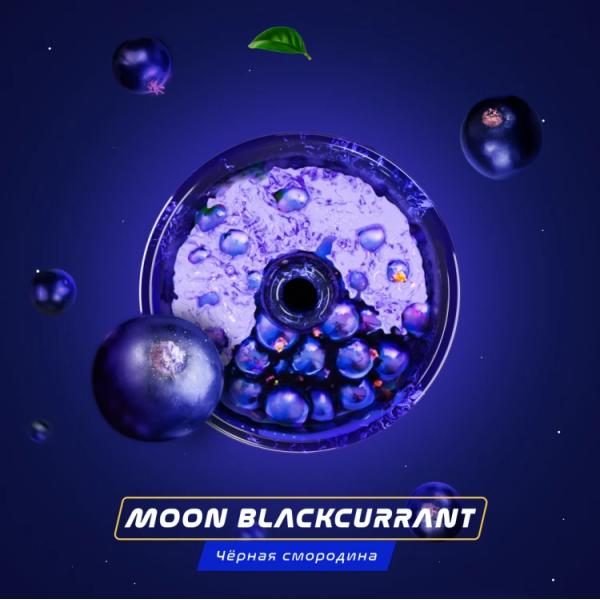 Паста Space Smoke BASIC Moon  Blackcurrant (Черная  смородина) 125 гр в Санкт-Петербурге