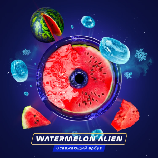 Паста Space Smoke BASIC Watermelon  Alien (Арбуз с  холодком) 30 гр в Санкт-Петербурге